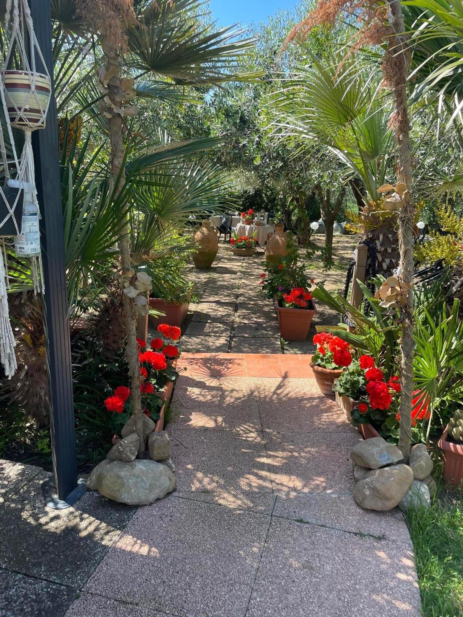 La Casina Di Simo Villa Montenero  Bagian luar foto